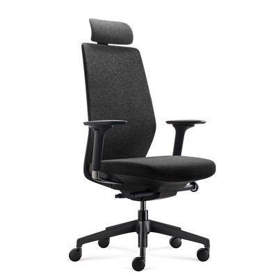 Hai lớp Modern Mesh Back Office Chair với bánh xe hỗ trợ lưng điều chỉnh
